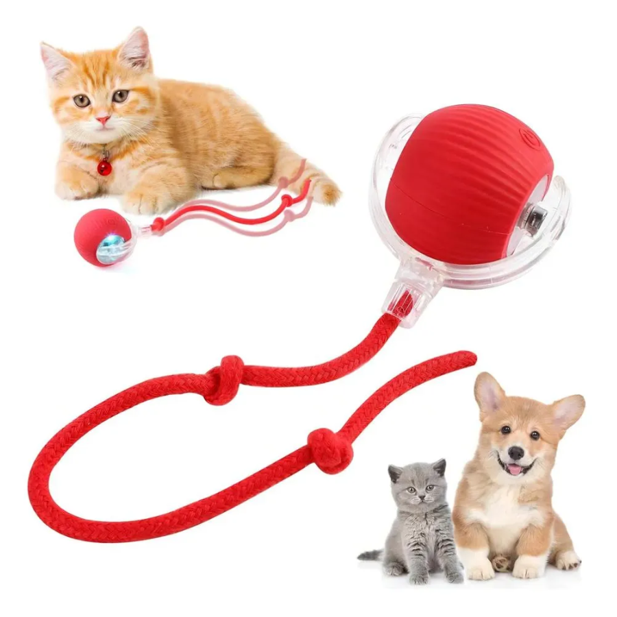 Pelota Interactiva Mascotas
