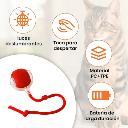 Pelota Interactiva Mascotas