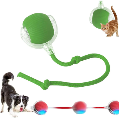 Pelota Interactiva Mascotas